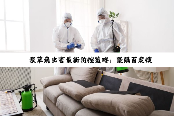 酢浆草病虫害最新防控策略：紧跟百度搜索热点，科学应对挑战