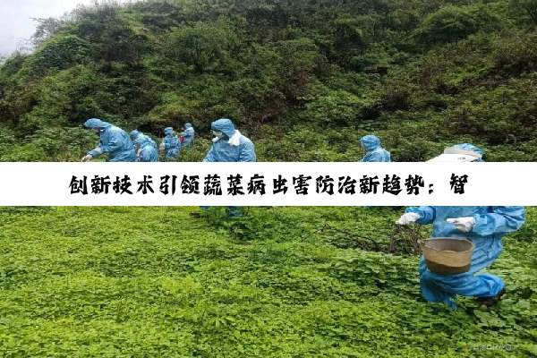 创新技术引领蔬菜病虫害防治新趋势：智能监测与生物防治的前沿探索