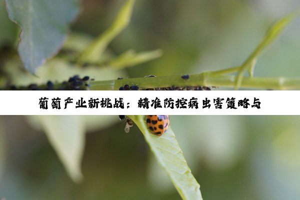 葡萄产业新挑战：精准防控病虫害策略与绿色生物防治技术前沿
