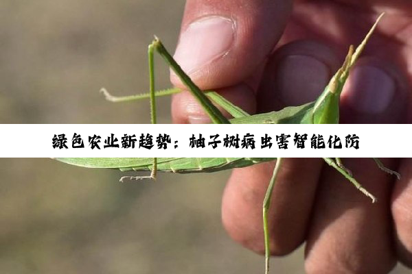 今日科普|绿色农业新趋势：柚子树病虫害智能化防控策略与最新生物防治技术热点