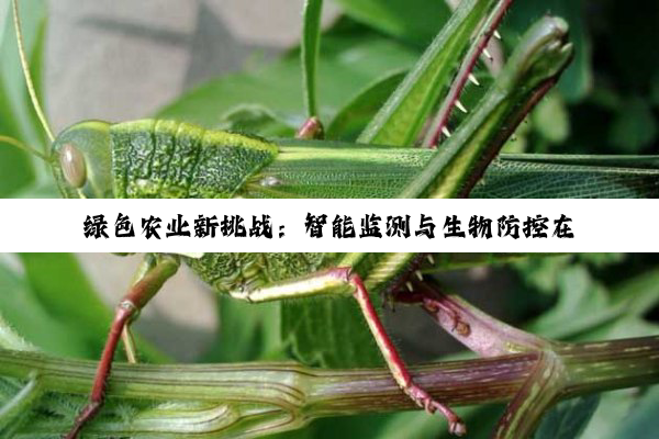 绿色农业新挑战：智能监测与生物防控在植物病虫害防治中的最新应用