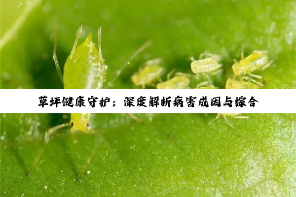 【科普解答】草坪健康守护：深度解析病害成因与综合防控策略