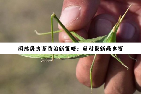 园林病虫害防治新策略：应对最新病虫害热点挑战