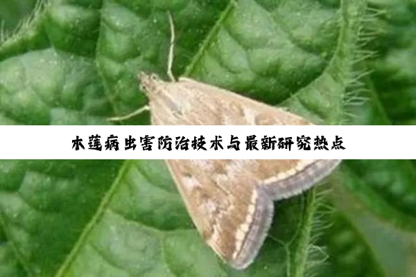 木莲病虫害防治技术与最新研究热点