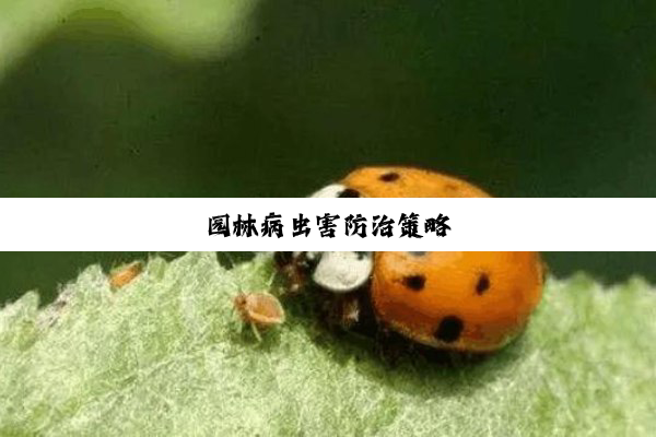 园林病虫害防治策略