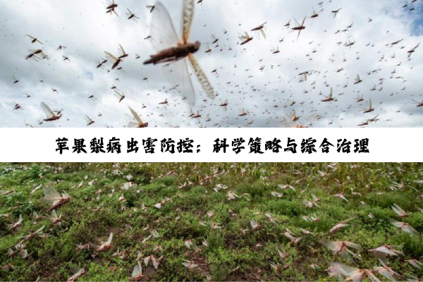 苹果梨病虫害防控：科学策略与综合治理探索