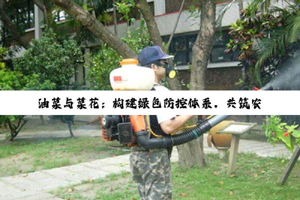 【科普解答】油菜与菜花：构建绿色防控体系，共筑农业生产可持续发展之路