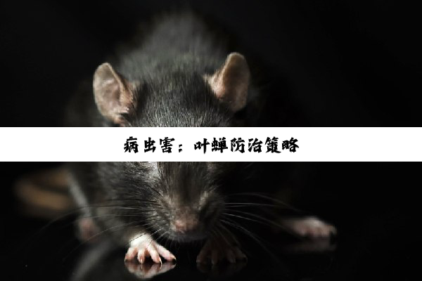 病虫害：叶蝉防治策略