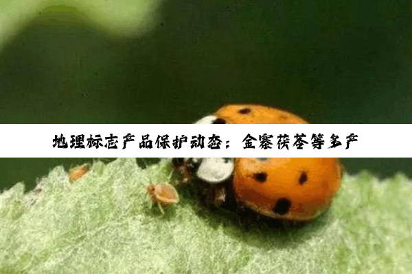 【今日要闻】地理标志产品保护动态：金寨茯苓等多产品获国家知识产权局认定与初步认定