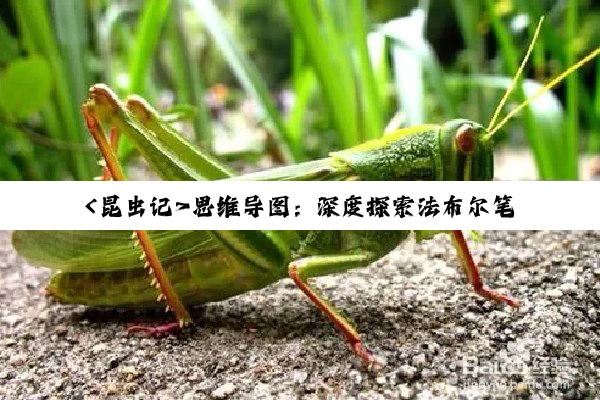 <昆虫记>思维导图：深度探索法布尔笔下的昆虫世界与生命哲学