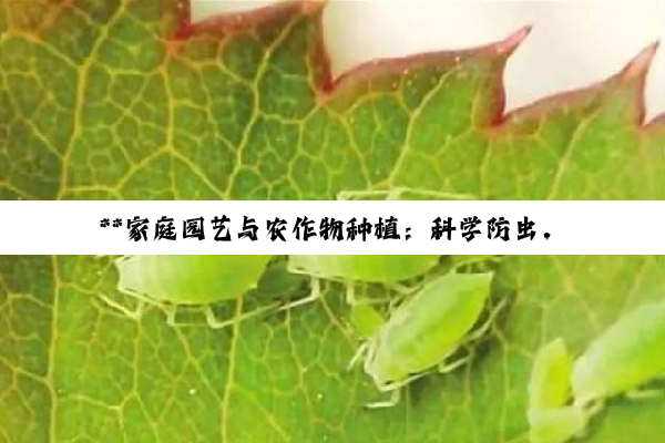 【科普解答】**家庭园艺与农作物种植：科学防虫，守护绿意与健康**