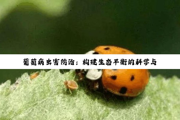 【科普解答】葡萄病虫害防治：构建生态平衡的科学与艺术