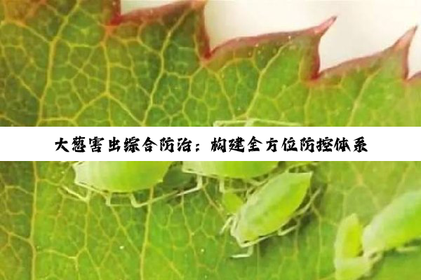 【科普解答】大葱害虫综合防治：构建全方位防控体系，保障作物健康成长