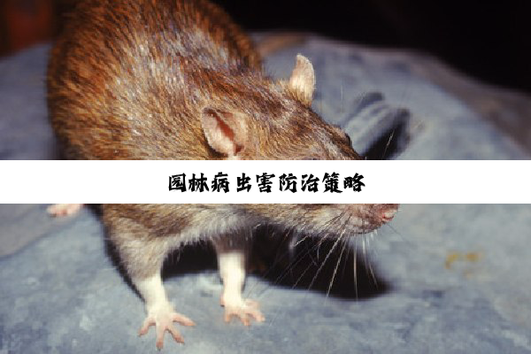 今日科普|园林病虫害防治策略