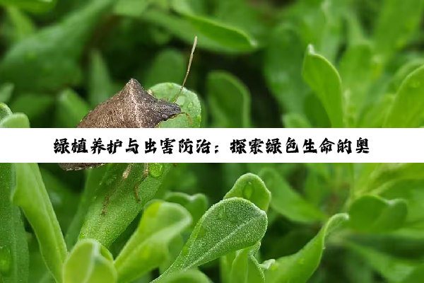 【科普解答】绿植养护与虫害防治：探索绿色生命的奥秘与尊重