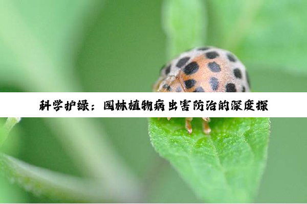 【科普解答】科学护绿：园林植物病虫害防治的深度探索