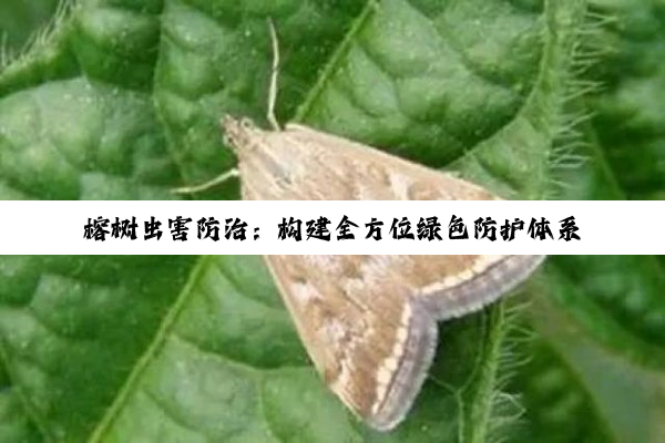 【科普解答】榕树虫害防治：构建全方位绿色防护体系