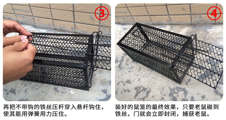 捕鼠笼正确使用步骤图解
